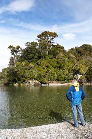 clean;clear;estuaries;estuary;green;heritage-area;Mouth;N.Z.;natural;New-Zealand;NZ;people;person;river;rivers;S.I.;SI;South-Island;te-wahi-pounamu;te-wahipounamu;te-wahipounamu-south_west-new-zealand-world-heritage-area;tidal;tourist;tourists;untouched;West-Coast;Westland;Whakapohai-River;world-heirtage-site;world-heirtage-sites;world-heritage-area;world-heritage-areas
