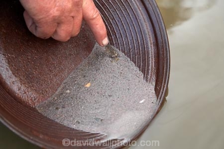 gold-pan;gold-panning;gold_pan;gold_panning;goldpan;goldpanning;N.Z.;New-Zealand;NZ;Reefton;S.I.;SI;South-Is.;South-Island;The-Bearded-Miners;The-Bearded-Mining-Company;tourist-attraction;tourist-attractions;Wesl-Coast;Westland