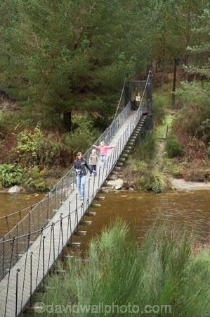 boy;boys;bridge;bridges;child;children;families;family;foot-bridge;foot-bridges;footbridge;footbridges;girl;girls;hiking-track;hiking-tracks;Inangahua-River;N.Z.;New-Zealand;NZ;pedestrian-bridge;pedestrian-bridges;Reefton;river;rivers;S.I.;SI;South-Is.;South-Island;swing-bridge;swing-bridges;track;tracks;walking-track;walking-tracks;Wesl-Coast;Westland;wire-bridge;wire-bridges