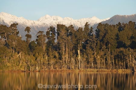 alp;alpine;alps;altitude;beautiful;beauty;bush;calm;endemic;forest;forests;green;high-altitude;lake;Lake-Mahinapua;lakes;main-divide;mount;mountain;mountain-peak;mountainous;mountains;mountainside;mt;mt.;N.Z.;native;native-bush;natives;natural;nature;New-Zealand;NZ;peak;peaks;placid;quiet;rain-forest;rain-forests;rain_forest;rain_forests;rainforest;rainforests;range;ranges;reflection;reflections;S.I.;scene;scenic;serene;SI;smooth;snow;snow-capped;snow_capped;snowcapped;snowy;South-Is.;South-Island;southern-alps;still;tranquil;tree;trees;water;Wesl-Coast;Westland;wood;woods