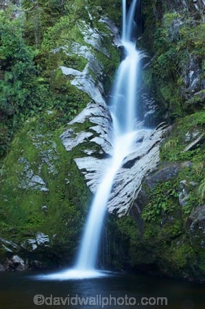 cascade;cascades;creek;creeks;Dorothy-Creek;Dorothy-Falls;falls;N.Z.;natural;nature;New-Zealand;NZ;S.I.;scene;scenic;SI;South-Is.;South-Island;stream;streams;water;water-fall;water-falls;waterfall;waterfalls;Wesl-Coast;Westland;wet