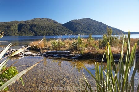 Big-Bay;brook;brooks;creek;creeks;Dorothy-Creek;flax;lake;Lake-Kaniere;lakes;N.Z.;New-Zealand;NZ;S.I.;SI;South-Is.;South-Island;stream;streams;water;Wesl-Coast;Westland;wet