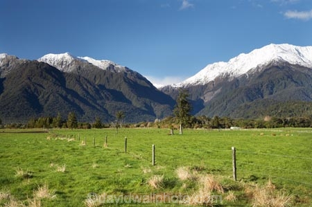 agricultural;agriculture;alp;alpine;alps;altitude;country;countryside;farm;farming;farmland;farms;fence;fence-line;fence-lines;fence_line;fence_lines;fenceline;fencelines;fences;field;fields;high-altitude;main-divide;meadow;meadows;mount;Mount-Adams;mountain;mountain-peak;mountainous;mountains;mountainside;mt;Mt-Adams;mt.;Mt.-Adams;N.Z.;New-Zealand;NZ;paddock;paddocks;pasture;pastures;peak;peaks;range;ranges;rural;S.I.;SI;snow;snow-capped;snow_capped;snowcapped;snowy;South-Is.;South-Island;southern-alps;summit;summits;West-Coast;Westland