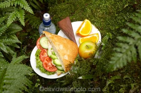 alfresco;apple;apples;avocado;bottle-of-water;bread;bread-roll;bun;chicken;chocolate-cake;chocolate-cakes;cucumber;cucumbers;eco-tourism;eco-tourist;eco-tourists;eco_tourism;eco_tourist;eco_tourists;ecotourism;ecotourist;ecotourists;fern;ferns;Lake-Moeraki-Wilderness-Lodge;lettuce;lettuces;lunch;lunches;mineral-water;N.Z.;New-Zealand;NZ;orange;oranges;ouitdoors;S.I.;sandwich;sandwiches;SI;smoked-chicken-sandwich;smoked-chicken-sandwiches;smoked_chicken-sandwich;smoked_chicken-sandwiches;snack;South-Island;tomato;tomatoes;water;water-bottle;water-bottles;West-Coast;Westland;Wilderness-Lodge-Lake-Moeraki