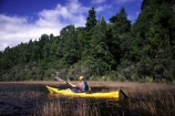 aqua;blue;bush;clear;coast;coast-line;coastal;coastline;color;colors;colour;colours;estuaries;estuary;fern;ferns;green;inlet;inlets;kayaking;kayaks;lagoon;lagoons;native;paddle;paddles;paddling;peace;peaceful;peacefulness;pure;sea;see_through;shore;shore-line;shoreline;tranquil;tranquility;water;yellow