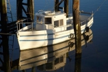 boat;boats;Buller-District;Buller-Region;fishing-boat;fishing-boats;N.Z.;New-Zealand;NZ;S.I.;SI;South-Is;South-Island;West-Coast;Westland;Westport