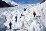 adventure;adventurous;alp;alpine;alps;climb;climbers;climbing;crampon;crampons;Franz-Josef-Glacier;glacial;glacier;glaciers;group;heli-hike;heli-hiker;heli-hikers;heli_hike;heli_hiker;heli_hikers;hike;hiker;hikers;ice;icy;main-divide;mount;mountain;mountainous;mountains;mountainside;mt;mt.;New-Zealand;outdoors;range;ranges;South-Island;South-West-New-Zealand-World-He;southern-alps;Te-Poutini-National-Park;Te-Wahipounamu;tramper;trampers;trek;trekker;trekkers;walk;walker;walkers;West-Coast;westland;Westland-National-Park