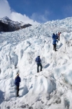 adventure;adventurous;alp;alpine;alps;climb;climbers;climbing;crampon;crampons;Franz-Josef-Glacier;glacial;glacier;glaciers;group;heli-hike;heli-hiker;heli-hikers;heli_hike;heli_hiker;heli_hikers;hike;hiker;hikers;ice;icy;main-divide;mount;mountain;mountainous;mountains;mountainside;mt;mt.;New-Zealand;outdoors;range;ranges;South-Island;South-West-New-Zealand-World-He;southern-alps;Te-Poutini-National-Park;Te-Wahipounamu;tramper;trampers;trek;trekker;trekkers;walk;walker;walkers;West-Coast;westland;Westland-National-Park