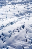 above;aerial;aerials;alp;alpine;alps;crevasse;crevasses;danger;Franz-Josef-Glacier;glacial;glacier;glaciers;ice;ice-formation;ice-formations;icy;main-divide;mount;mountain;mountainous;mountains;mountainside;mt;mt.;New-Zealand;outdoors;pattern;patterns;range;ranges;South-Island;South-West-New-Zealand-World-He;southern-alps;Te-Poutini-National-Park;Te-Wahipounamu;texture;textures;West-Coast;westland;westland-national-park
