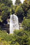 bush;creek;creeks;falls;Granity;Millerton;native-bush;natural;nature;New-Zealand;scene;scenic;South-Island;stream;streams;water;water-fall;water-falls;waterfall;waterfalls;West-Coast;westland;wet