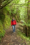 beautiful;beauty;bush;endemic;fern;ferns;forest;forests;Great-Walk;green;Heaphy-Track;hike;hiker;hikers;hiking;Kahurangi-National-Park;Karamea;moss;mosses;mossy;national-park;national-parks;native;native-bush;natives;natural;nature;New-Zealand;Nothofagus;people;person;ponga;pongas;punga;pungas;rain-forest;rain-forests;rain_forest;rain_forests;rainforest;rainforests;scene;scenic;South-Island;southern-beeches;track;tracks;tramp;tramper;trampers;tramping;tree;tree-fern;tree-ferns;trees;trek;treker;trekers;treking;trekker;trekkers;trekking;walk;walker;walkers;walking;walking-track;walking-tracks;West-Coast;Westland