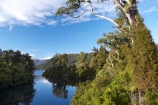 beautiful;beauty;Beech-Forest;Blue-River;bush;calm;eco-tourism;eco-tourist;eco-tourists;eco_tourism;eco_tourist;eco_tourists;ecotourism;ecotourist;ecotourists;endemic;forest;forests;green;lake;Lake-Moeraki;lakes;Moeraki-River;n.z.;native;native-bush;natives;natural;natural-scenery;nature;new-zealand;Nothofagus;nz;placid;quiet;rain-forest;rain-forests;rain_forest;rain_forests;rainforest;rainforests;reflection;reflections;river;rivers;S.I.;scene;scenic;serene;SI;smooth;South-Island;southern-beeches;still;timber;tranquil;tree;trees;water;west-coast;westland;wood;woods