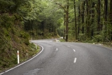 S-curve;S-curves;beautiful;beauty;Beech-Forest;bend;bends;bush;centre-line;centre-lines;centre_line;centre_lines;centreline;centrelines;corner;corners;driving;endemic;forest;forests;green;highway;highways;N.Z.;native;native-bush;natives;natural;nature;New-Zealand;Nothofagus;NZ;open-road;open-roads;rain-forest;rain-forests;rain_forest;rain_forests;rainforest;rainforests;road;road-trip;roads;s-curve;s-curves;S.I.;scene;scenic;SI;South-Is.;South-Island;southern-beeches;timber;transport;transportation;travel;traveling;travelling;tree;tree-trunk;tree-trunks;trees;trip;trunk;trunks;Wesl-Coast;Westland;wood;woods