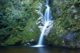 cascade;cascades;creek;creeks;Dorothy-Creek;Dorothy-Falls;falls;N.Z.;natural;nature;New-Zealand;NZ;pool;pools;S.I.;scene;scenic;SI;South-Is.;South-Island;stream;streams;water;water-fall;water-falls;waterfall;waterfalls;Wesl-Coast;Westland;wet