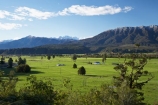 agricultural;agriculture;country;countryside;farm;farming;farmland;farms;field;fields;meadow;meadows;N.Z.;New-Zealand;NZ;paddock;paddocks;pasture;pastures;rural;S.I.;SI;South-Is.;South-Island;West-Coast;Westland
