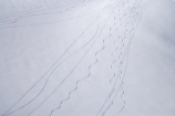 above;aerial;aerial-photo;aerial-photograph;aerial-photographs;aerial-photography;aerial-photos;aerial-view;aerial-views;aerials;alp;alpine;alps;backcountry;cold;danger;Franz-Josef-Glacier;glacial;glacier;glaciers;high-altitude;highcountry;ice;icy;main-divide;mount;Mount-Jervois;mountain;mountainous;mountains;mountainside;mt;Mt-Jervois;mt.;Mt.-Jervois;N.Z.;New-Zealand;NZ;outdoors;range;ranges;S.I.;SI;Ski-Tracks;snow;snowy;South-Is.;South-Island;South-West-New-Zealand-World-Heritage-Area;southern-alps;Te-Poutini-National-Park;Te-Wahipounamu;West-Coast;Westland;westland-national-park;White;winter;World-Heritage-Area