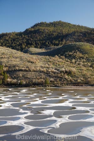 alkali-lake;alkaline-lake;alkaline-lakes;B.C.;BC;British-Columbia;calcium;Canada;Canadian;circle;circles;closed-basin;closed-basins;closed-drainage-basin;closed-drainage-basins;endorheic;endorheic-basin;endorheic-basins;Endorheic-lake;Endorheic-lakes;Khiluk;la-Colombie_Britannique;lake;lakes;magnesium-sulfate;mineral;mineral-lake;mineral-lakes;minerals;North-America;Okanagan-Valley;Osoyoos;pattern;patterns;sacred-lake;sacred-lakes;sacred-site;sacred-sites;saline;saline-lake;saline-lakes;salt-lake;salt-lakes;sodium-sulphate;spot;spots;Spotted-Lake;terminal-basin;terminal-basins;unusual-formations;unusual-natural-feature