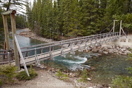 AB;Alberta;Albertas-Rockies;bridge;bridges;Canada;Canadian;Canadian-Cordillera;Canadian-Rockies;Canadian-Rocky-Mountain-Parks;Canadian-Rocky-Mountain-Parks-World-Heritage-Site;foot-bridge;foot-bridges;footbridge;footbridges;hiking-track;hiking-tracks;Jasper-N.P.;Jasper-National-Park;Jasper-NP;Maligne-Canyon;Maligne-River;national-park;national-parks;North-America;North-American-Cordillera;North-American-Rocky-Mountains-Range;pedestrian-bridge;pedestrian-bridges;Rocky-Mountains;Rocky-Mountains-Range;suspension-bridge;suspension-bridges;swing-bridge;swing-bridges;track;tracks;UN-world-heritage-area;UN-world-heritage-site;UNESCO-World-Heritage-area;UNESCO-World-Heritage-Site;united-nations-world-heritage-area;united-nations-world-heritage-site;walking-track;walking-tracks;Western-Canada;Western-Cordillera;wire-bridge;wire-bridges;world-heritage;world-heritage-area;world-heritage-areas;World-Heritage-Park;World-Heritage-site;World-Heritage-Sites
