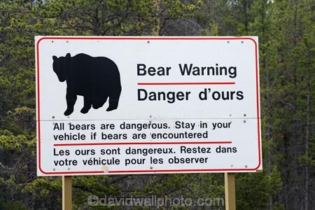 AB;Alberta;Albertas-Rockies;bear;bear-sign;bear-signs;bear-warning-sign;bear-warning-signs;bears;Canada;Canadian;Canadian-Cordillera;Canadian-Rockies;Canadian-Rocky-Mountain-Parks;Canadian-Rocky-Mountain-Parks-World-Heritage-Site;Jasper-N.P.;Jasper-National-Park;Jasper-NP;North-America;North-American-Cordillera;North-American-Rocky-Mountains-Range;road-sign;road-signs;road_sign;road_signs;roads;roadsign;roadsigns;Rocky-Mountains;Rocky-Mountains-Range;sign;signs;symbol;symbols;warn;warning;warning-sign;warning-signs;Western-Canada;Western-Cordillera;wildlife;wildlife-sign;wildlife-signs;wildlife-warning-sign;wildlife-warning-signs