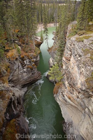 AB;Alberta;Albertas-Rockies;Athabasca-Falls;Athabasca-River;Athabasca-Waterfall;Athabasca-Waterfalls;Canada;Canadian;Canadian-Cordillera;Canadian-Rockies;Canadian-Rocky-Mountain-Parks;Canadian-Rocky-Mountain-Parks-World-Heritage-Site;canyon;canyons;eroded;erosion;geological;geology;gorge;gorges;Icefield-Parkway;Icefields-Parkway;Jasper-N.P.;Jasper-National-Park;Jasper-NP;limestone;limestone-formations;limestone-layer;limestone-layers;limestone-rock;limestone-rocks;national-park;national-parks;North-America;North-American-Cordillera;North-American-Rocky-Mountains-Range;Promenade-des-Glaciers;ravine;ravines;rock;rock-formation;rock-formations;rocks;Rocky-Mountains;Rocky-Mountains-Range;slot-canyon;slot-canyons;stone;The-Icefields-Parkway;UN-world-heritage-area;UN-world-heritage-site;UNESCO-World-Heritage-area;UNESCO-World-Heritage-Site;united-nations-world-heritage-area;united-nations-world-heritage-site;Western-Canada;Western-Cordillera;world-heritage;world-heritage-area;world-heritage-areas;World-Heritage-Park;World-Heritage-site;World-Heritage-Sites