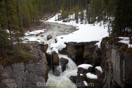 AB;Alberta;Albertas-Rockies;Canada;Canadian;Canadian-Cordillera;Canadian-Rockies;Canadian-Rocky-Mountain-Parks;Canadian-Rocky-Mountain-Parks-World-Heritage-Site;cascade;cascades;cold;creek;creeks;eroded;erosion;falls;freeze;freezing;Icefield-Parkway;Icefields-Parkway;Jasper-N.P.;Jasper-National-Park;Jasper-NP;national-park;national-parks;natural;nature;North-America;North-American-Cordillera;North-American-Rocky-Mountains-Range;Promenade-des-Glaciers;Rocky-Mountains;Rocky-Mountains-Range;scene;scenic;season;seasonal;seasons;snow;snowy;stream;streams;Sunwapta-Falls;Sunwapta-River;Sunwapta-Waterfall;Sunwapta-Waterfalls;UN-world-heritage-area;UN-world-heritage-site;UNESCO-World-Heritage-area;UNESCO-World-Heritage-Site;united-nations-world-heritage-area;united-nations-world-heritage-site;water;water-fall;water-falls;waterfall;waterfalls;Western-Canada;Western-Cordillera;wet;white;winter;wintery;world-heritage;world-heritage-area;world-heritage-areas;World-Heritage-Park;World-Heritage-site;World-Heritage-Sites