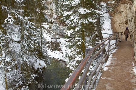 AB;Alberta;Albertas-Rockies;Banff-N.P.;Banff-National-Park;Banff-NP;Canada;Canadian;Canadian-Cordillera;Canadian-Rockies;Canadian-Rocky-Mountain-Parks;Canadian-Rocky-Mountain-Parks-World-Heritage-Site;cantilevered;canyon;canyons;cold;eroded;erosion;freeze;freezing;gorge;gorges;hike;hiker;hikers;hiking;hiking-track;hiking-tracks;icy-track;Johnston-Canyon;Johnston-Canyon-track;Johnston-Creek;North-America;North-American-Cordillera;North-American-Rocky-Mountains-Range;pathway;ravine;ravines;Rocky-Mountains;Rocky-Mountains-Range;season;seasonal;seasons;slot-canyon;slot-canyons;snow;snowy;tramp;tramper;trampers;tramping;tramping-tack;tramping-tracks;trek;treker;trekers;treking;trekker;trekkers;trekking;UN-world-heritage-area;UN-world-heritage-site;UNESCO-World-Heritage-area;UNESCO-World-Heritage-Site;united-nations-world-heritage-area;united-nations-world-heritage-site;walk;walker;walkers;walking;walking-track;walking-tracks;Western-Canada;Western-Cordillera;white;winter;wintery;world-heritage;world-heritage-area;world-heritage-areas;World-Heritage-Park;World-Heritage-site;World-Heritage-Sites