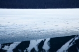 alp;alpine;alps;altitude;British-Columbia;British-Columbian-Rockies;calm;Canada;Canadian;Canadian-Cordillera;Canadian-Rockies;Canadian-Rocky-Mountain-Parks;Canadian-Rocky-Mountain-Parks-World-Heritage-Site;cold;freeze;freezing;freezing-lake;freezing-lakes;frozen;frozen-lake;frozen-lakes;high-altitude;ice;icy;icy-lake;icy-lakes;la-Colombie_Britannique;Moose-Lake;mount;Mount-Robson-Park;Mount-Robson-Provincial-Park;mountain;mountain-peak;mountainous;mountains;mountainside;mt;Mt-Robson-Park;Mt-Robson-Provincial-Park;mt.;Mt.-Robson-Park;Mt.-Robson-Provincial-Park;North-America;North-American-Cordillera;North-American-Rocky-Mountains-Range;placid;quiet;range;ranges;reflection;reflections;Rocky-Mountains;Rocky-Mountains-Range;season;seasonal;seasons;Selwyn-Ra;Selwyn-Range;serene;smooth;snow;snow-capped;snow_capped;snowcapped;snowy;still;tranquil;UN-world-heritage-area;UN-world-heritage-site;UNESCO-World-Heritage-area;UNESCO-World-Heritage-Site;united-nations-world-heritage-area;united-nations-world-heritage-site;water;Western-Canada;Western-Cordillera;white;winter;wintery;world-heritage;world-heritage-area;world-heritage-areas;World-Heritage-Park;World-Heritage-site;World-Heritage-Sites