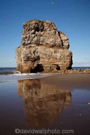 Britain;British-Isles;calm;column;columns;England;English;Europe;G.B.;GB;geological;geological-landform;geology;Great-Britain;magnesium-limestone;Marsden;Marsden-Rock;N.E.-England;NE-England;Newcastle;Newcastle-upon-Tyne;North-East-England;Northumberland;periclase;reflection;reflections;rock;rock-formation;rock-formations;rock-outcrop;rock-outcrops;rock-stack;rock-stacks;rock-tor;rock-torr;rock-torrs;rock-tors;rocks;sea-stack;sea-stacks;smooth;South-Shields;South-Tyneside;stack;stacks;still;stone;Tyne-and-Wear;U.K.;UK;United-Kingdom;unusual-natural-feature;unusual-natural-features;unusual-natural-formation;unusual-natural-formations;water