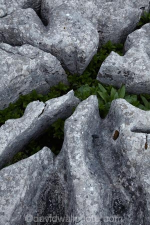 Britain;British-Isles;England;Europe;formation;formations;G.B.;GB;geological;geological-formation;geological-formations;geology;Great-Britain;Limestone;limestone-formation;limestone-formations;Limestone-Pavement;Malham;Malham-Cove;natural;natural-landscape;natural-landscapes;natural-limestone-formation;North-Yorkshire;Northern-England;pattern;patterns;rock;rock-formation;rock-formations;rocks;stone;U.K.;UK;United-Kingdom;unusual-natural-feature;unusual-natural-features;Yorkshire;Yorkshire-Dales;Yorkshire-Dales-National-Park