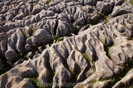 Britain;British-Isles;England;Europe;formation;formations;G.B.;GB;geological;geological-formation;geological-formations;geology;Great-Britain;Limestone;limestone-formation;limestone-formations;Limestone-Pavement;Malham;Malham-Cove;natural;natural-landscape;natural-landscapes;natural-limestone-formation;North-Yorkshire;Northern-England;pattern;patterns;rock;rock-formation;rock-formations;rocks;stone;U.K.;UK;United-Kingdom;unusual-natural-feature;unusual-natural-features;Yorkshire;Yorkshire-Dales;Yorkshire-Dales-National-Park