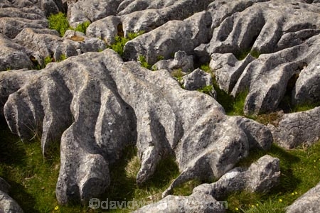 Britain;British-Isles;England;Europe;formation;formations;G.B.;GB;geological;geological-formation;geological-formations;geology;Great-Britain;Limestone;limestone-formation;limestone-formations;Limestone-Pavement;Malham;Malham-Cove;natural;natural-landscape;natural-landscapes;natural-limestone-formation;North-Yorkshire;Northern-England;pattern;patterns;rock;rock-formation;rock-formations;rocks;stone;U.K.;UK;United-Kingdom;unusual-natural-feature;unusual-natural-features;Yorkshire;Yorkshire-Dales;Yorkshire-Dales-National-Park