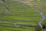 agricultural;agriculture;Britain;British-Isles;country;countryside;dry-stone-wall;dry-stone-walls;dry_stone-wall;dry_stone-walls;drystone-wall;drystone-walls;England;English-countryside;Europe;farm;farming;farmland;farms;fence;fence-line;fence-lines;fence_line;fence_lines;fenceline;fencelines;fences;field;fields;G.B.;GB;Great-Britain;heritage;historic;livestock;Malham;meadow;meadows;narrow-lane;narrow-lanes;narrow-road;narrow-roads;North-Yorkshire;Northern-England;paddock;paddocks;pasture;pastures;rock-wall;rock-walls;rural;sheep;stock;stone-fence;stone-fences;stone-wall;stone-walling;stone-wallings;stone-walls;tradition;traditional;U.K.;UK;United-Kingdom;Yorkshire;Yorkshire-countryside;Yorkshire-Dales;Yorkshire-Dales-National-Park;Yorkshire-Farm;Yorkshire-Farmland;Yorkshire-Farmlands;Yorkshire-Farms