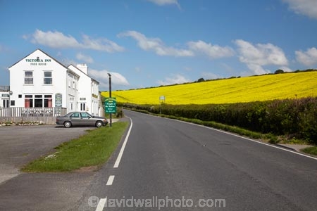 8020;agricultural;agriculture;ale-house;ale-houses;and;architecture;bar;bars;britain;building;buildings;chickerell;colonial;country;countryside;crop;crops;dorset;england;farm;farming;farmland;farms;field;fields;free;free-house;free-houses;G.B.;GB;great-britain;heritage;historic;historic-building;historic-buildings;historical;historical-building;historical-buildings;history;horticulture;hotel;hotels;house;inn;kingdom;meadow;meadows;near;old;paddock;paddocks;pasture;pastures;place;places;plant;plants;pub;public-house;public-houses;pubs;rape-field;rape-fields;rapeseed;Rapeseed-Field;rapeseed-fields;rapeseeds;rural;saloon;saloons;tavern;taverns;tradition;traditional;U.K.;uk;united;united-kingdom;victoria;Victoria-Inn-Free-House;Victoria-Inn-Pub;weymouth;yellow;yellow-field;yellow-fields