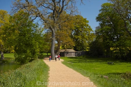 Britain;British-Isles;East-Sussex;England;Europe;Footpath;footpaths;G.B.;GB;Great-Britain;image;images;parkland;parks;photo;photos;South-East-England;Sussex;tree;trees;U.K.;UK;United-Kingdom
