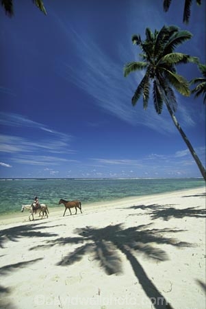 beach;beaches;calm;coast;coastline;coconut-palm;coconut-palms;coconut-tree;coconut-trees;cocos-nucifera;heavenly;holiday;holidays;horizon;horizons;horse;idyllic;island;islands;leisure;melanesia;ocean;outdoor;outdoors;outside;pacific;palm;palm-tree;palm-trees;palms;paradise;peaceful;plant;plants;quiet;relax;relaxing;rest;restful;ride;rider;sand;sandy;scenic;scenics;sea;serene;shadow;shadows;shore;shoreline;shores;still;summer;summertime;tranquil;travel;travels;tree;trees;tropical;vacation;vacations;vegetation;viti-levu;water;world-locations;world-travel