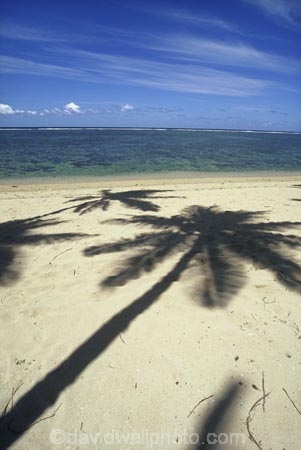 beach;beaches;coast;coastline;coconut-palm;coconut-palms;coconut-tree;coconut-trees;cocos-nucifera;heavenly;holiday;holidays;horizon;horizons;idyllic;island;islands;leisure;melanesia;ocean;outdoor;outdoors;outside;pacific;palm;palm-tree;palms;palm-trees;paradise;plant;plants;sand;sandy;scenic;scenics;sea;shadow;shadows;shore;shores;shoreline;summer;summertime;travel;travels;tree;trees;tropical;vacation;vacations;vegetation;viti-levu;water;world-locations;world-travel;relax;relaxing;serene;peaceful;quiet;restful;rest;calm;tranquil;still;south-pacific