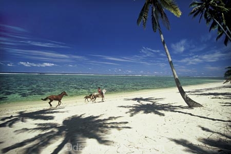 beach;beaches;calm;coast;coastline;coconut-palm;coconut-palms;coconut-tree;coconut-trees;cocos-nucifera;heavenly;holiday;holidays;horizon;horizons;horse;idyllic;island;islands;leisure;melanesia;ocean;outdoor;outdoors;outside;pacific;palm;palm-tree;palm-trees;palms;paradise;peaceful;plant;plants;quiet;relax;relaxing;rest;restful;ride;rider;sand;sandy;scenic;scenics;sea;serene;shadow;shadows;shore;shoreline;shores;still;summer;summertime;tranquil;travel;travels;tree;trees;tropical;vacation;vacations;vegetation;viti-levu;water;world-locations;world-travel