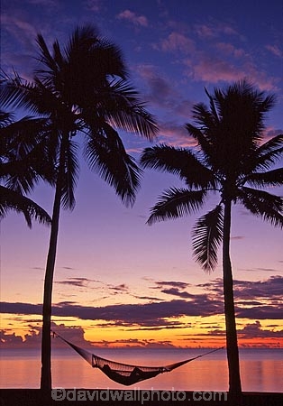 alone;beach;beaches;calm;calmness;coast;coastline;coconut-palm;coconut-palms;coconut-tree;coconut-trees;cocos-nucifera;denarau-island;dusk;hammock;hammocks;heavenly;holiday;holidays;horizon;horizons;idyllic;island;islands;leisure;melanesia;ocean;one-person;outdoor;outdoors;outside;pacific;palm;palm-tree;palm-trees;palms;paradise;peaceful;plant;plants;quiet;relax;relaxation;relaxing;rest;restful;sand;sandy;scenic;scenics;sea;serene;sheraton-hotel;sheraton-hotels;sheraton-resort;sheraton-resorts;shore;shoreline;shores;silence;silhouette;single;sky;sleep;still;summer;summertime;sunset;sunsets;tranquil;travel;travels;tree;trees;tropical;vacation;vacations;vegetation;viti-levu;water;world-locations;world-travel