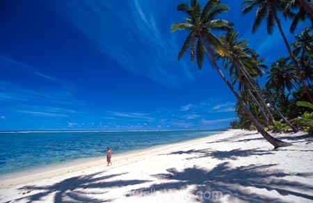 beach;beaches;coast;coastline;coconut-palm;coconut-palms;coconut-tree;coconut-trees;cocos-nucifera;heavenly;holiday;holidays;horizon;horizons;idyllic;island;islands;leisure;melanesia;ocean;outdoor;outdoors;outside;pacific;palm;palm-tree;palms;palm-trees;paradise;plant;plants;sand;sandy;scenic;scenics;sea;shadow;shadows;shore;shores;shoreline;summer;summertime;travel;travels;tree;trees;tropical;vacation;vacations;vegetation;viti-levu;water;world-locations;world-travel;horse;rider;ride;relax;relaxing;serene;peaceful;quiet;restful;rest;calm;tranquil;still