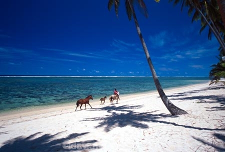 beach;beaches;coast;coastline;coconut-palm;coconut-palms;coconut-tree;coconut-trees;cocos-nucifera;heavenly;holiday;holidays;horizon;horizons;idyllic;island;islands;leisure;melanesia;ocean;outdoor;outdoors;outside;pacific;palm;palm-tree;palms;palm-trees;paradise;plant;plants;sand;sandy;scenic;scenics;sea;shadow;shadows;shore;shores;shoreline;summer;summertime;travel;travels;tree;trees;tropical;vacation;vacations;vegetation;viti-levu;water;world-locations;world-travel;horse;rider;ride;relax;relaxing;serene;peaceful;quiet;restful;rest;calm;tranquil;still