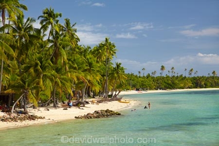 aqua;aquamarine;beach;beaches;blue;clean-water;clear-water;coast;coastal;coastline;coastlines;coasts;cobalt-blue;cobalt-ultramarine;cobaltultramarine;Fij;Fiji;Fiji-Islands;foreshore;holiday;holiday-resort;holiday-resorts;holidays;Malolo-Lailai-Is;Malolo-Lailai-Island;Malololailai-Is;Malololailai-Island;Mamanuca-Group;Mamanuca-Is;Mamanuca-Island-Group;Mamanuca-Islands;Mamanucas;ocean;Pacific;Pacific-Island;Pacific-Islands;palm;palm-tree;palm-trees;palms;Plantation-Is;Plantation-Is-Resort;Plantation-Island;Plantation-Island-Resort;resort;resort-hotel;resort-hotels;resorts;sand;sandy;sea;shore;shoreline;shorelines;shores;South-Pacific;teal-blue;tropical-island;tropical-islands;turquoise;vacation;vacations;water