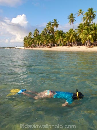 beach;beaches;child;children;coast;coastal;coastline;coastlines;coasts;coral-reef;coral-reefs;Fij;Fiji;Fiji-Islands;fins;flippers;foreshore;girl;girls;holiday;holiday-resort;holiday-resorts;holidays;kid;kids;Malolo-Lailai-Is;Malolo-Lailai-Island;Malololailai-Is;Malololailai-Island;Mamanuca-Group;Mamanuca-Is;Mamanuca-Island-Group;Mamanuca-Islands;Mamanucas;ocean;Pacific;Pacific-Island;Pacific-Islands;palm;palm-tree;palm-trees;palms;people;person;Plantation-Is;Plantation-Is-Resort;Plantation-Island;Plantation-Island-Resort;reef;reefs;resort;resort-hotel;resort-hotels;resorts;sand;sandy;sea;shore;shoreline;shorelines;shores;snorkeller;snorkellers;snorkelling;South-Pacific;swim;swimmer;swimmers;swimming;tourism;tourist;tourists;tropical-island;tropical-islands;tropical-reef;tropical-reefs;vacation;vacations;water