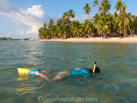 beach;beaches;child;children;coast;coastal;coastline;coastlines;coasts;coral-reef;coral-reefs;Fij;Fiji;Fiji-Islands;fins;flippers;foreshore;girl;girls;holiday;holiday-resort;holiday-resorts;holidays;kid;kids;Malolo-Lailai-Is;Malolo-Lailai-Island;Malololailai-Is;Malololailai-Island;Mamanuca-Group;Mamanuca-Is;Mamanuca-Island-Group;Mamanuca-Islands;Mamanucas;ocean;Pacific;Pacific-Island;Pacific-Islands;palm;palm-tree;palm-trees;palms;people;person;Plantation-Is;Plantation-Is-Resort;Plantation-Island;Plantation-Island-Resort;reef;reefs;resort;resort-hotel;resort-hotels;resorts;sand;sandy;sea;shore;shoreline;shorelines;shores;snorkeller;snorkellers;snorkelling;South-Pacific;swim;swimmer;swimmers;swimming;tourism;tourist;tourists;tropical-island;tropical-islands;tropical-reef;tropical-reefs;vacation;vacations;water