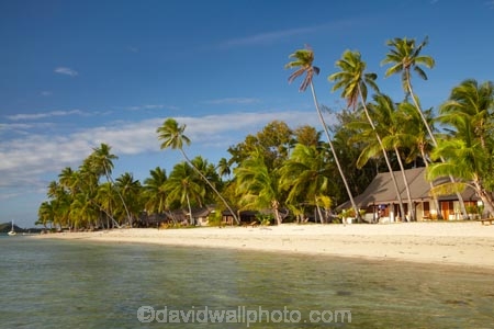 beach;beaches;beachfront-bure;beachfront-bures;bure;bures;coast;coastal;coastline;coastlines;coasts;Fij;Fiji;Fiji-Islands;foreshore;holiday;holiday-resort;holiday-resorts;holidays;Malolo-Lailai-Is;Malolo-Lailai-Island;Malololailai-Is;Malololailai-Island;Mamanuca-Group;Mamanuca-Is;Mamanuca-Island-Group;Mamanuca-Islands;Mamanucas;ocean;Pacific;Pacific-Island;Pacific-Islands;palm;palm-tree;palm-trees;palms;Plantation-Is;Plantation-Is-Resort;Plantation-Island;Plantation-Island-Resort;resort;resort-hotel;resort-hotels;resorts;sand;sandy;sea;shore;shoreline;shorelines;shores;South-Pacific;tropical-island;tropical-islands;vacation;vacations;water;waterfront-bure;waterfront-bures