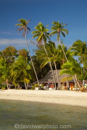 beach;beaches;beachfront-bure;beachfront-bures;bure;bures;coast;coastal;coastline;coastlines;coasts;Fij;Fiji;Fiji-Islands;foreshore;holiday;holiday-resort;holiday-resorts;holidays;Malolo-Lailai-Is;Malolo-Lailai-Island;Malololailai-Is;Malololailai-Island;Mamanuca-Group;Mamanuca-Is;Mamanuca-Island-Group;Mamanuca-Islands;Mamanucas;ocean;Pacific;Pacific-Island;Pacific-Islands;palm;palm-frond;palm-fronds;palm-tree;palm-trees;palms;Plantation-Is;Plantation-Is-Resort;Plantation-Island;Plantation-Island-Resort;resort;resort-hotel;resort-hotels;resorts;sand;sandy;sea;shore;shoreline;shorelines;shores;South-Pacific;tropical-island;tropical-islands;vacation;vacations;water;waterfront-bure;waterfront-bures
