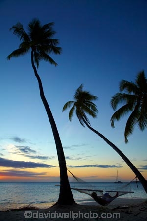 coast;coastal;coastline;coastlines;coasts;dusk;evening;Fij;Fiji;Fiji-Islands;foreshore;hammock;hammocks;holiday;holiday-resort;holiday-resorts;holidays;leisure;Malolo-Lailai-Is;Malolo-Lailai-Island;Malololailai-Is;Malololailai-Island;Mamanuca-Group;Mamanuca-Is;Mamanuca-Island-Group;Mamanuca-Islands;Mamanucas;nightfall;ocean;orange;Pacific;Pacific-Island;Pacific-Islands;palm;palm-frond;palm-fronds;palm-tree;palm-trees;palms;Plantation-Is;Plantation-Is-Resort;Plantation-Island;Plantation-Island-Resort;relaxation;relaxing;resort;resort-hotel;resort-hotels;resorts;sea;shore;shoreline;shorelines;shores;sky;South-Pacific;sunset;sunsets;tropical-island;tropical-islands;twilight;vacation;vacations;water