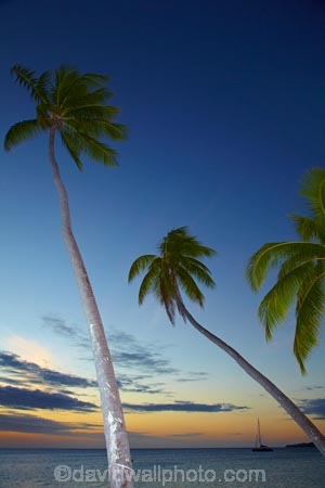 coast;coastal;coastline;coastlines;coasts;dusk;evening;Fij;Fiji;Fiji-Islands;foreshore;holiday;holiday-resort;holiday-resorts;holidays;Malolo-Lailai-Is;Malolo-Lailai-Island;Malololailai-Is;Malololailai-Island;Mamanuca-Group;Mamanuca-Is;Mamanuca-Island-Group;Mamanuca-Islands;Mamanucas;nightfall;ocean;Pacific;Pacific-Island;Pacific-Islands;palm;palm-frond;palm-fronds;palm-tree;palm-trees;palms;Plantation-Is;Plantation-Is-Resort;Plantation-Island;Plantation-Island-Resort;resort;resort-hotel;resort-hotels;resorts;sea;shore;shoreline;shorelines;shores;sky;South-Pacific;sunset;sunsets;tropical-island;tropical-islands;twilight;vacation;vacations;water