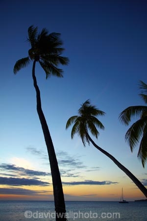 coast;coastal;coastline;coastlines;coasts;dusk;evening;Fij;Fiji;Fiji-Islands;foreshore;holiday;holiday-resort;holiday-resorts;holidays;Malolo-Lailai-Is;Malolo-Lailai-Island;Malololailai-Is;Malololailai-Island;Mamanuca-Group;Mamanuca-Is;Mamanuca-Island-Group;Mamanuca-Islands;Mamanucas;nightfall;ocean;Pacific;Pacific-Island;Pacific-Islands;palm;palm-frond;palm-fronds;palm-tree;palm-trees;palms;Plantation-Is;Plantation-Is-Resort;Plantation-Island;Plantation-Island-Resort;resort;resort-hotel;resort-hotels;resorts;sea;shore;shoreline;shorelines;shores;sky;South-Pacific;sunset;sunsets;tropical-island;tropical-islands;twilight;vacation;vacations;water