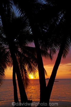 beach;beaches;calm;coast;coastal;coastline;coastlines;coasts;dusk;evening;Fij;Fiji;Fiji-Islands;foreshore;holiday;holiday-resort;holiday-resorts;holidays;Malolo-Lailai-Is;Malolo-Lailai-Island;Malololailai-Is;Malololailai-Island;Mamanuca-Group;Mamanuca-Is;Mamanuca-Island-Group;Mamanuca-Islands;Mamanucas;nightfall;ocean;orange;Pacific;Pacific-Island;Pacific-Islands;palm;palm-frond;palm-fronds;palm-tree;palm-trees;palms;placid;Plantation-Is;Plantation-Is-Resort;Plantation-Island;Plantation-Island-Resort;quiet;reflection;reflections;resort;resort-hotel;resort-hotels;resorts;sand;sandy;sea;serene;shore;shoreline;shorelines;shores;sky;smooth;South-Pacific;still;sunset;sunsets;tranquil;tropical-island;tropical-islands;twilight;vacation;vacations;water