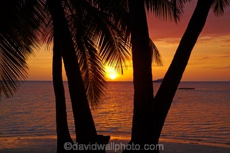 beach;beaches;calm;coast;coastal;coastline;coastlines;coasts;dusk;evening;Fij;Fiji;Fiji-Islands;foreshore;holiday;holiday-resort;holiday-resorts;holidays;Malolo-Lailai-Is;Malolo-Lailai-Island;Malololailai-Is;Malololailai-Island;Mamanuca-Group;Mamanuca-Is;Mamanuca-Island-Group;Mamanuca-Islands;Mamanucas;nightfall;ocean;orange;Pacific;Pacific-Island;Pacific-Islands;palm;palm-frond;palm-fronds;palm-tree;palm-trees;palms;placid;Plantation-Is;Plantation-Is-Resort;Plantation-Island;Plantation-Island-Resort;quiet;reflection;reflections;resort;resort-hotel;resort-hotels;resorts;sand;sandy;sea;serene;shore;shoreline;shorelines;shores;sky;smooth;South-Pacific;still;sunset;sunsets;tranquil;tropical-island;tropical-islands;twilight;vacation;vacations;water